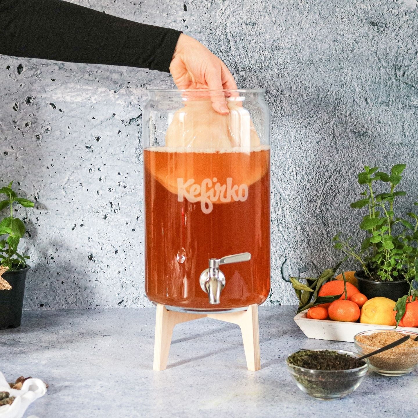 sacar scooby de hacer kombucha kefirko