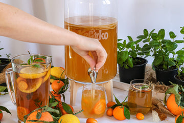 Botellas de kombucha en segunda fermentación con fruta sobre una mesa