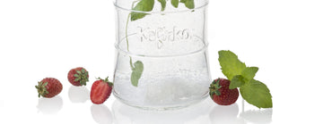 Fermentación del kéfir de agua