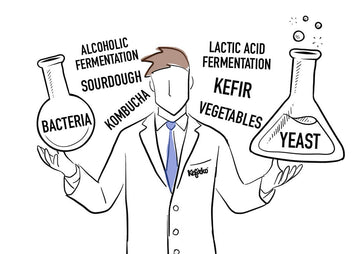 Ilustración de un científico con matraces de bacterias y levaduras, y términos sobre la fermentación como kéfir y kombucha.