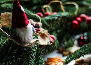 Galletas de coco con kéfir de agua