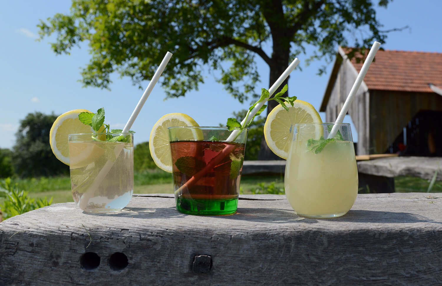 Tres bebidas refrescantes en vasos de cristal con limón, menta y pajitas, servidas al aire libre sobre madera.