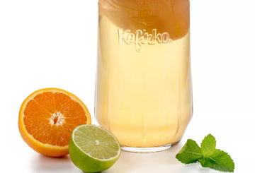 Prepara Kombucha Casera con el Kefirko