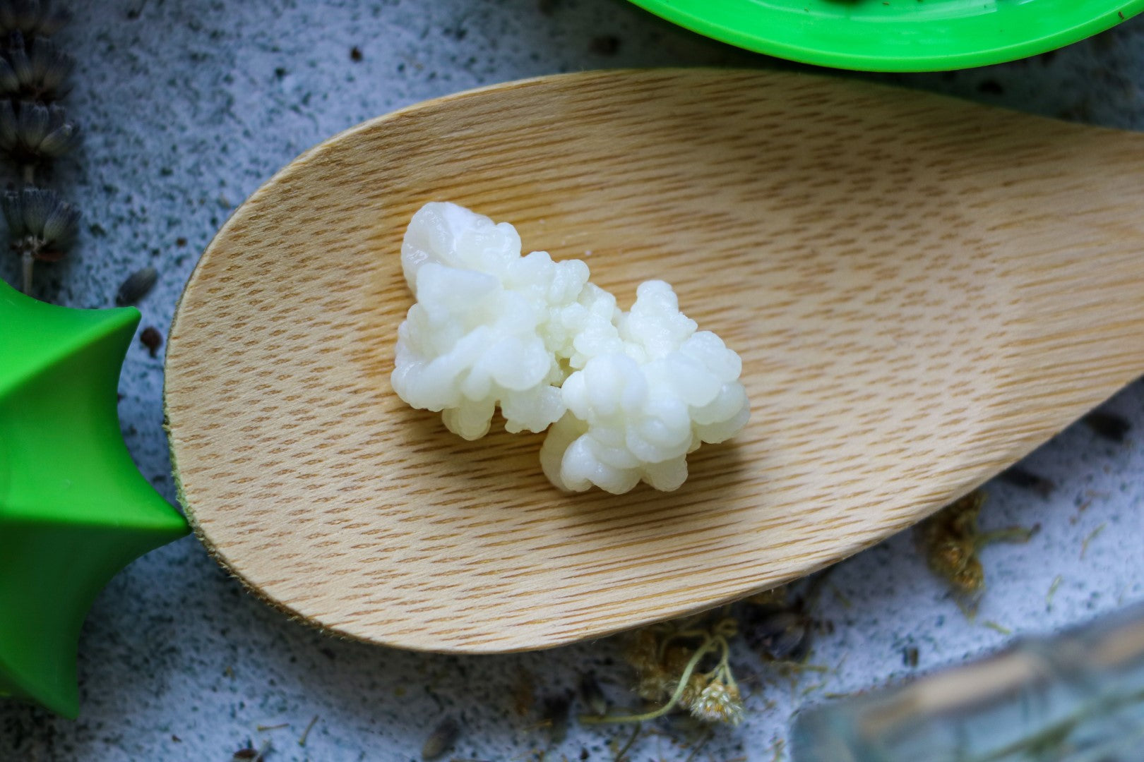 Nódulos de kéfir de leche blancos y frescos en una cuchara de madera sobre una superficie de piedra.