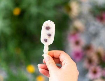 Kéfir congelado: ¡tu tipo de helado favorito!