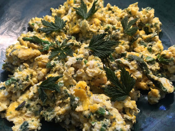 Huevos revueltos con cuajada de kéfir y lúpulo silvestre