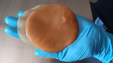 Una mano con guante azul sostiene un scoby sano, liso y redondo de color beige sobre una superficie metálica.