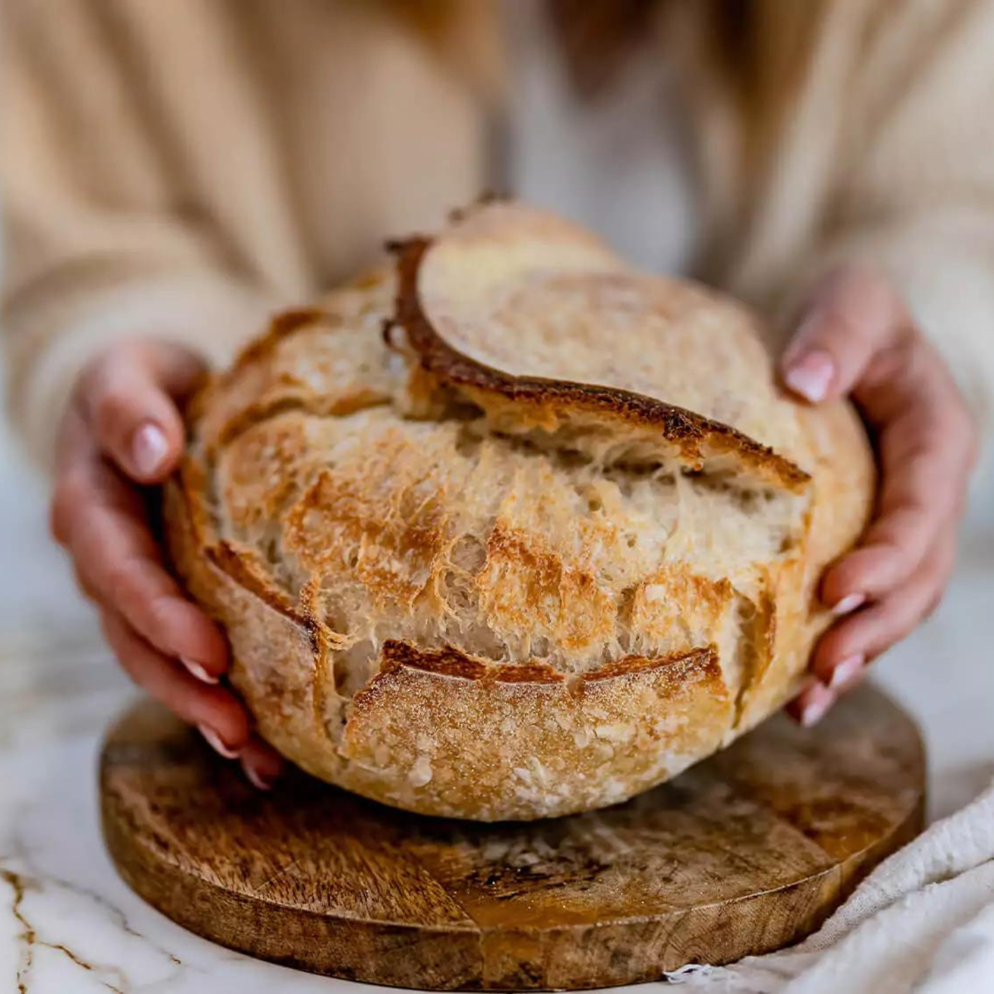 Fermentador de masa madre
