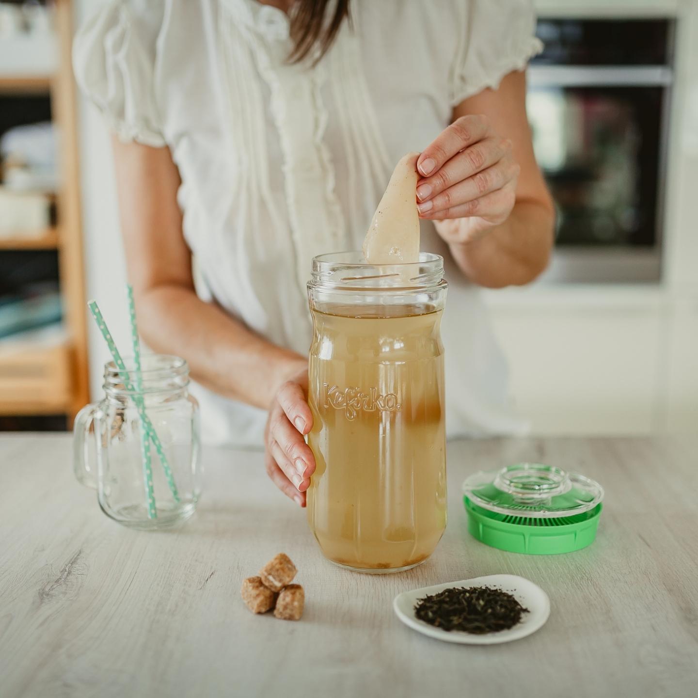 Kefir Maker (Fermentador de Kefir)