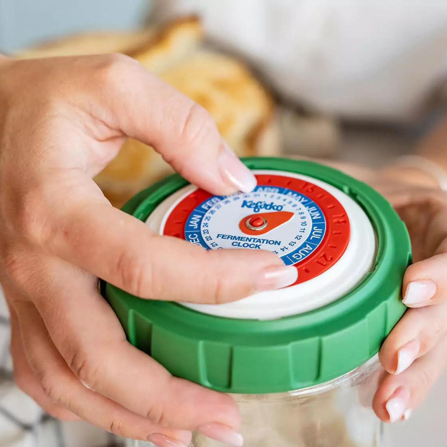 Fermentador de masa madre
