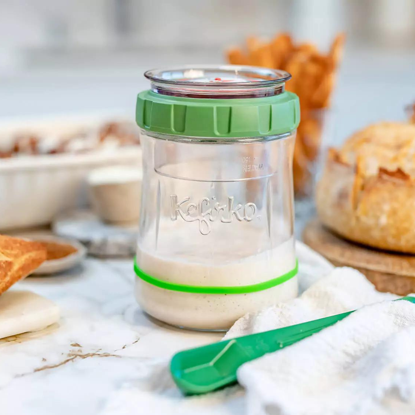 Fermentador de masa madre