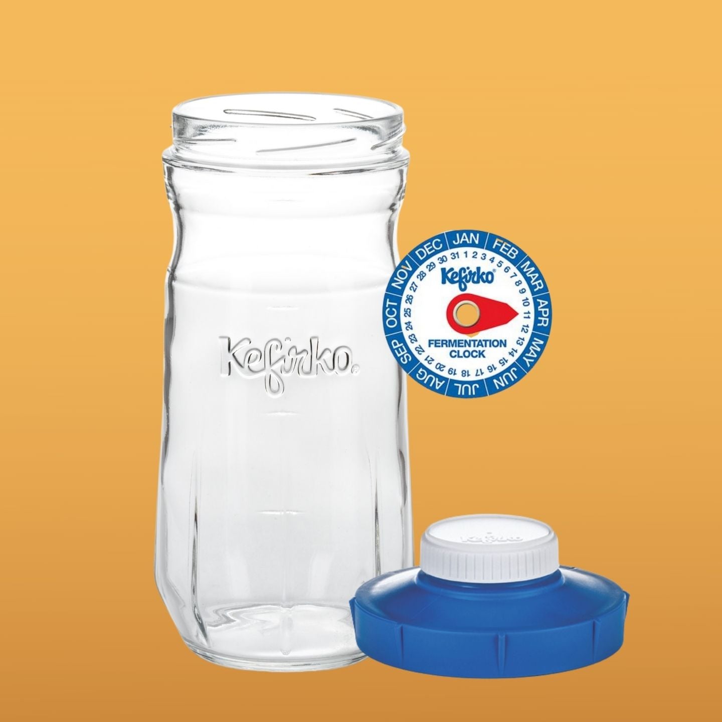 reloj de fermentacion con tarro grande de cristal con tapa azul