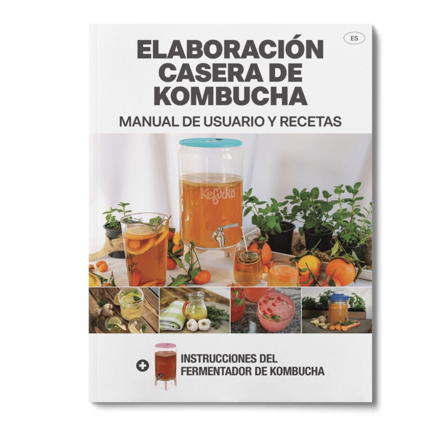 libro recetas kombucha