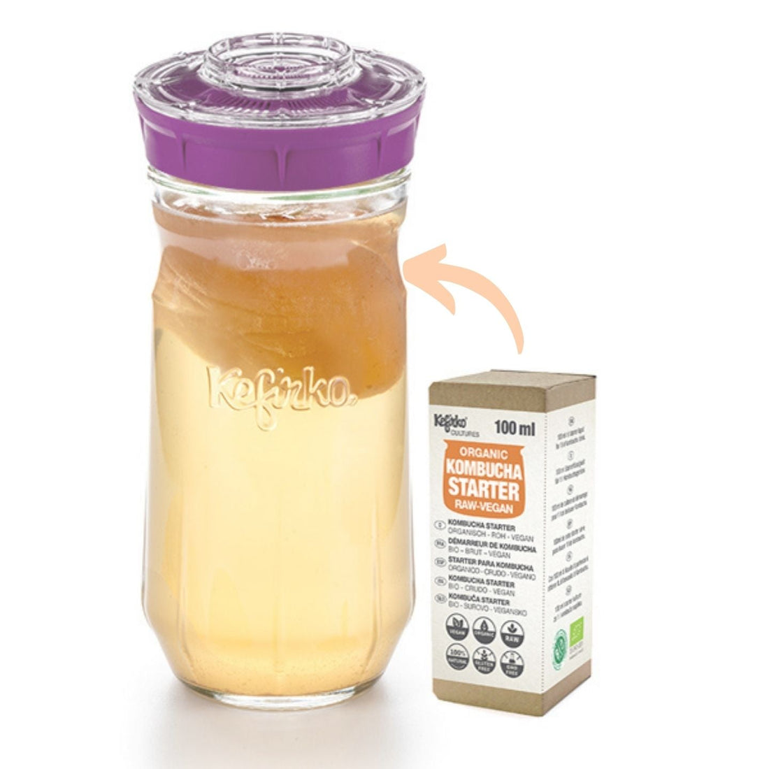 caja de starter de kombucha ecologica